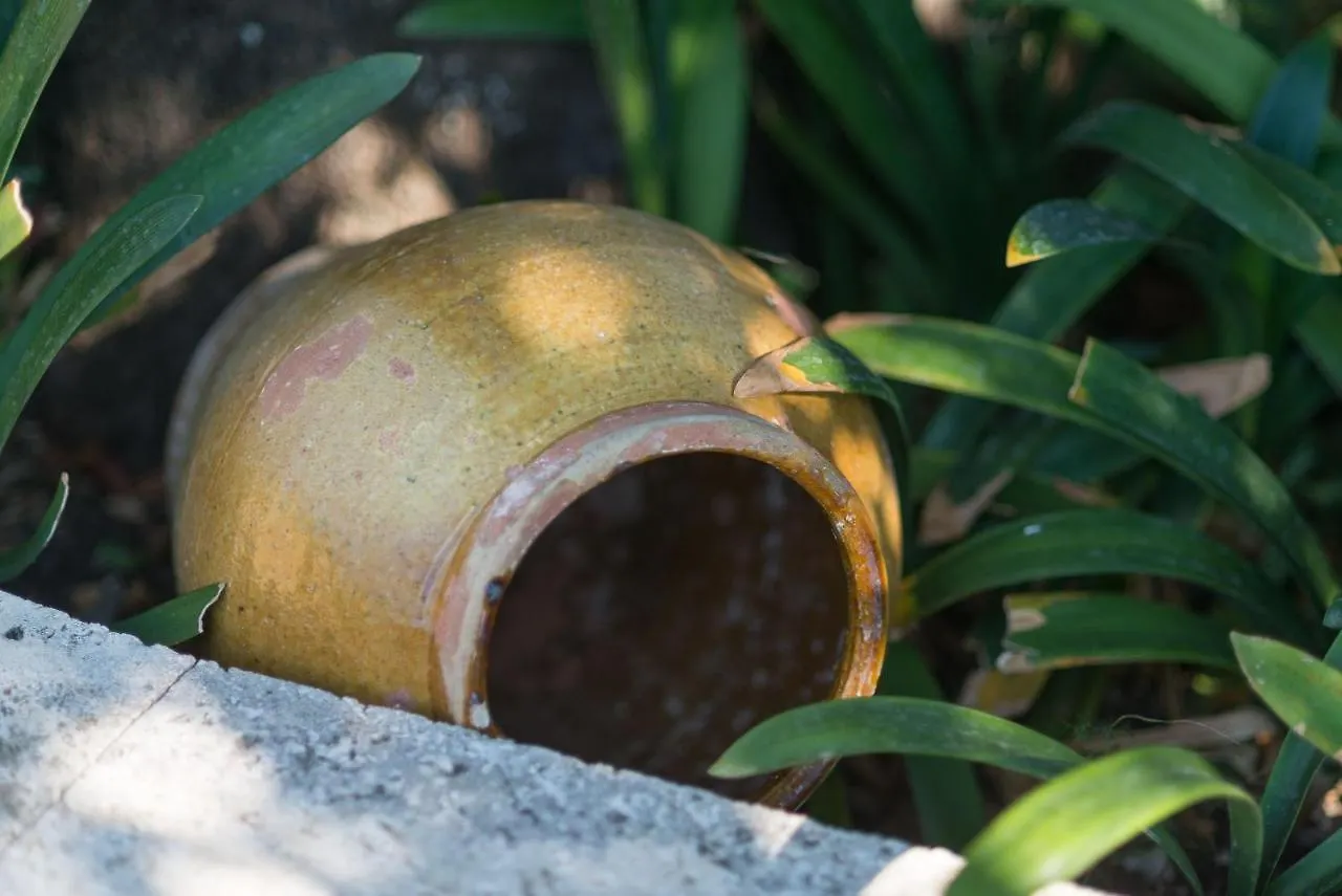 Finca Coster Pollença Ισπανία