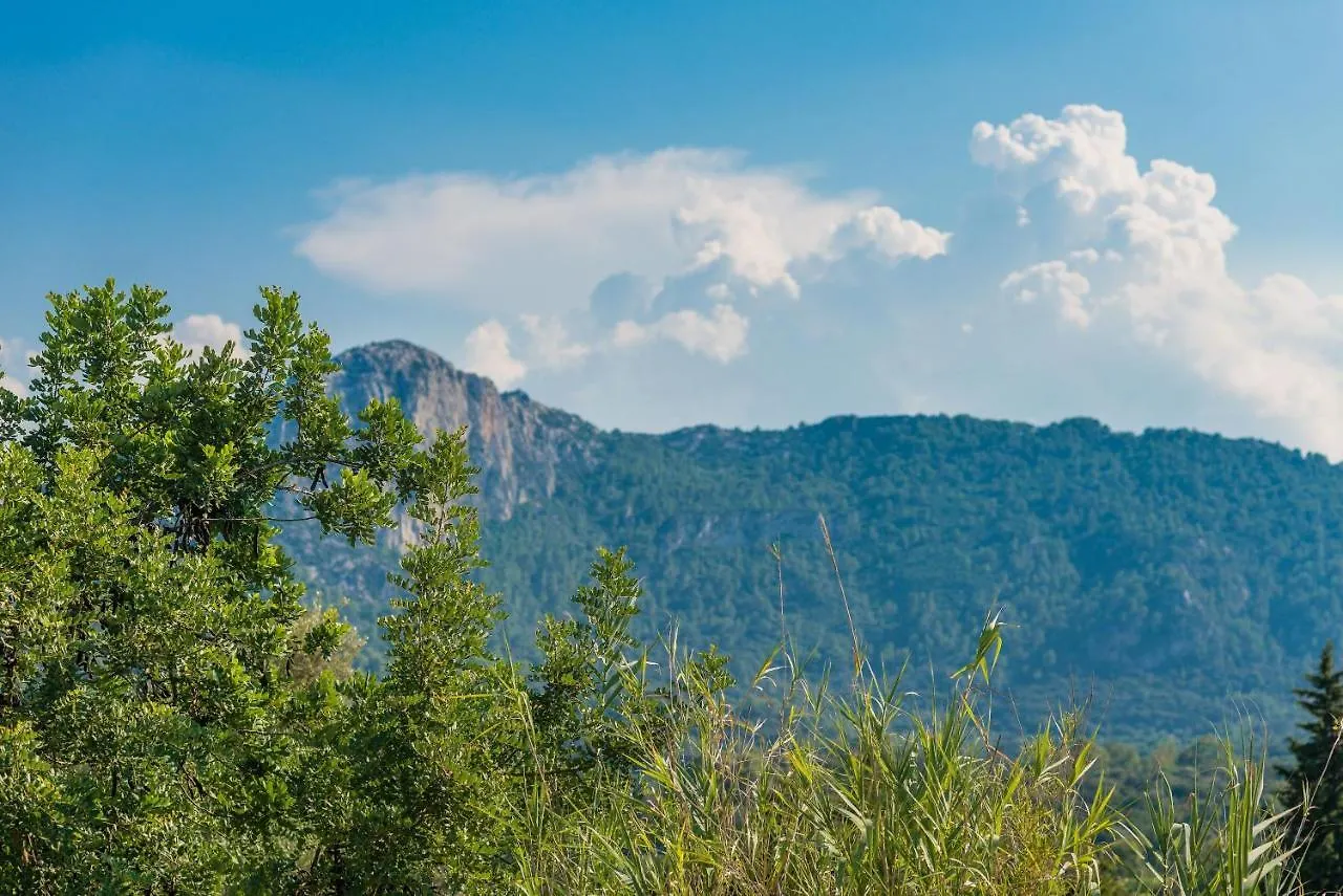 Finca Coster Pollença 0*,  Ισπανία
